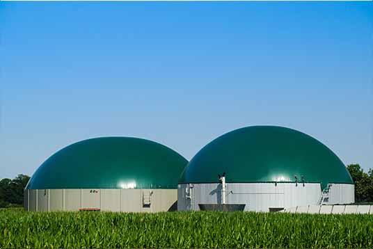 Biogasanlage für ein Blockheizkraftwerk